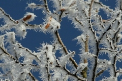 Theme-texture-1