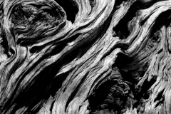 Theme-texture-5