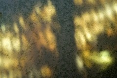 Mur-et-vitrail_15