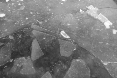 DSCF7531-1633187722017