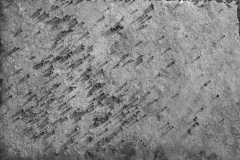 DSCF7613-1-1633187723252