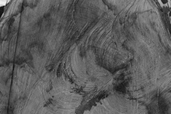 DSCF7752-2-1633187724641