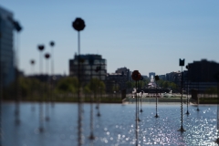 Lensbaby test 3