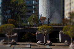Lensbaby test 5
