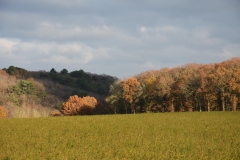 DSC_9630