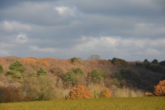 DSC_9631
