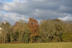 DSC_9634