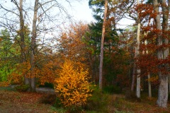 P1100043