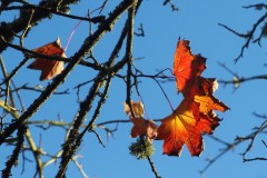 IMG_3146-2