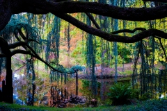 claude-G-automne-1