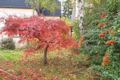 16_Automne_Gif_20211029_104217_reduit