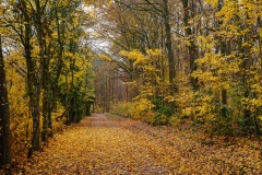 DSCF0090