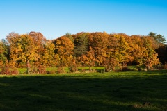 28102021-_RCM9517