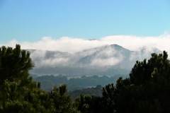 brume_5