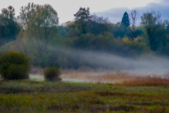 claude-G-brume-2-petit-matin
