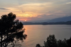 DSC_0485-