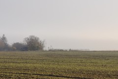 la-ferme