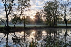 Brouillard-2