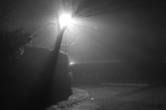 Brouillard-3