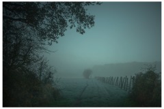 Brouillard-sur-Chevry-1