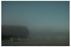 Brouillard-sur-Chevry-8
