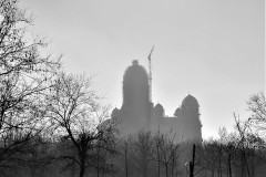 IMG_8343