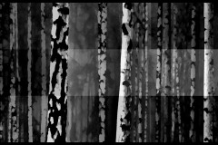 03-1920x1080