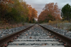picod_13dec_ligne_3