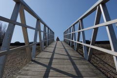 picod_13dec_ligne_6