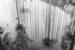 3-14082016-_DSC0157