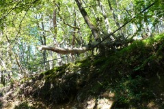 04_Lignes_Compostelle_2007_07_28_P1000259
