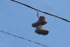 05_Lignes_Compostelle_chaussures_P1040440