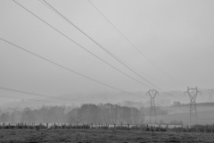 4 - Lignes et Brumes