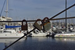 GPC-Theme-lignes_2021-12-9-1