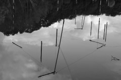 GPC-Theme-lignes_2021-12-9-3