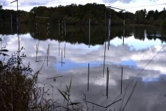GPC-Theme-lignes_2021-12-9-4