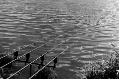GPC-Theme-lignes_2021-12-9-5
