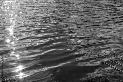 GPC-Theme-lignes_2021-12-9-6