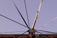 DSF3113-2-1639241816654