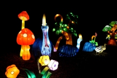2020_02_Thoiry-illumine_2
