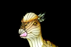 2020_02_Thoiry-illumine_5