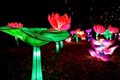 2020_02_Thoiry-illumine_6