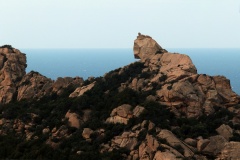 1-Roccapina