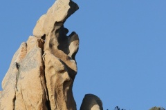 3-Madonuccia