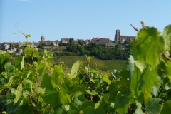 01_2022_01_03_Libre_1_Compostelle_Vezelay_P1000143