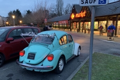 Coccinelle de Noel