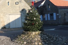 Sapin1