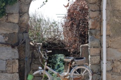 5-Corse-1