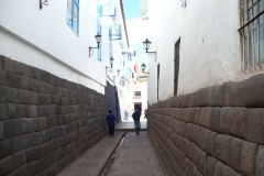 02_Cuzco_2_cultures_P1000734