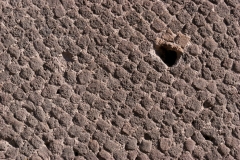 Pompei-1